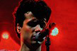 BBBrunes (3)